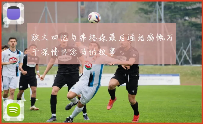 欧文回忆与弗格森最后通话感慨万千深情怀念马的故事