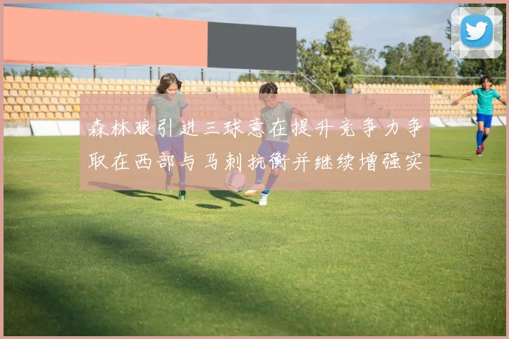 森林狼引进三球意在提升竞争力争取在西部与马刺抗衡并继续增强实力